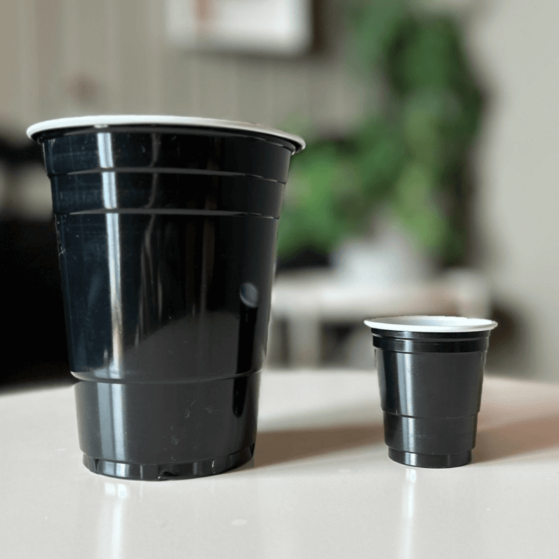 Shot Cups Schwarz (50x)